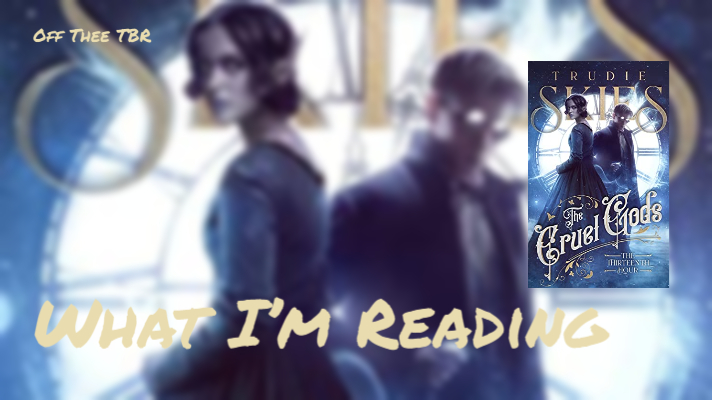 Banner image of cover of The Thirteenth Hour by Trudie Skies superimposed over zoomed in and blurred image of same cover. Text reads "What I'm Reading" and "Off The TBR"